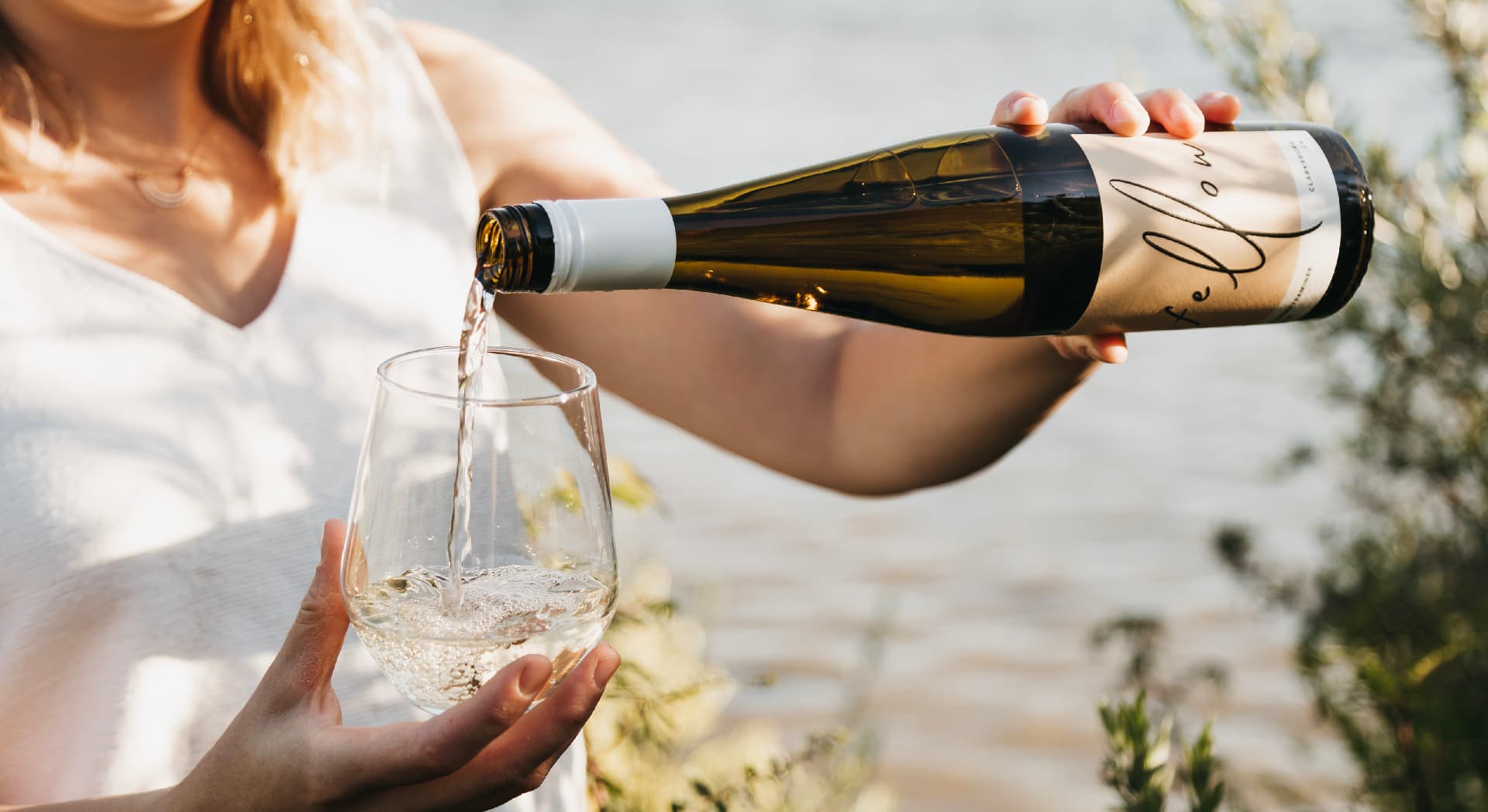 Premium Distribution Solutions for wholesale wine Buyers
